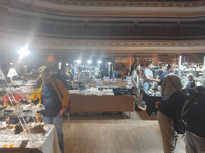 Minerals rars a MineralExpo Sant Celoni